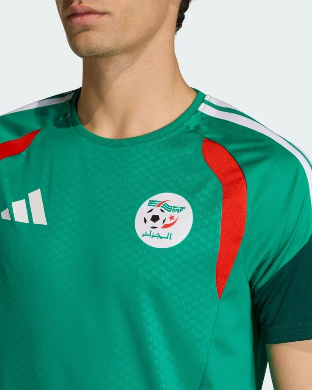 Maillot d’entraînement Algérie Coupe du Monde 2026 - Vert