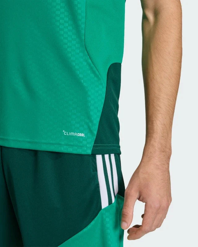 Maillot d’entraînement Algérie Coupe du Monde 2026 - Vert