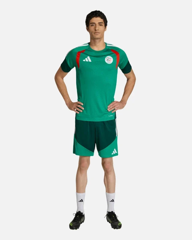 Maillot d’entraînement Algérie Coupe du Monde 2026 - Vert