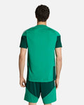Maillot d’entraînement Algérie Coupe du Monde 2026 - Vert