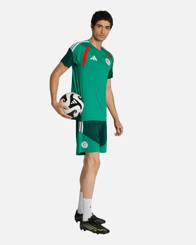 Maillot d’entraînement Algérie Coupe du Monde 2026 - Vert