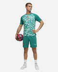 Maillot d'entrainement Portugal Coupe du Monde 2026 - Vert