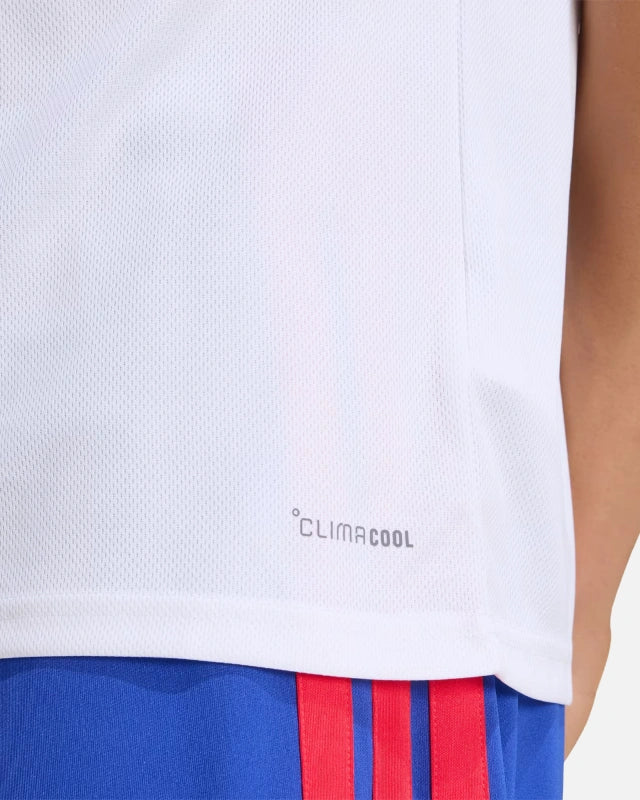Maillot Domicile Olympique Lyonnais 2026/2027 - Blanc/Bleu