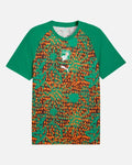Maillot Pré-Match Côte d'Ivoire Coupe du Monde 2026 - Vert