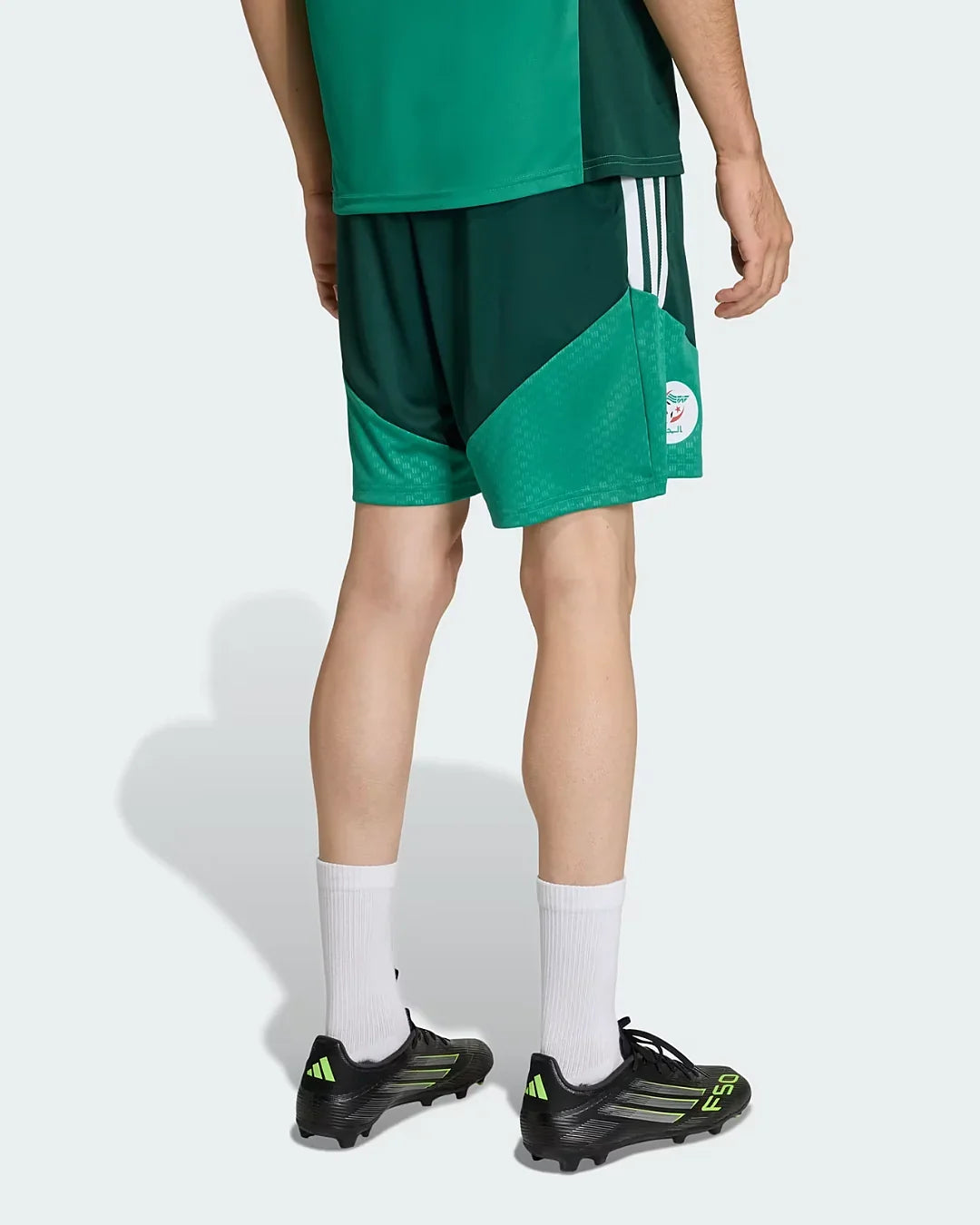 Short d'entraînement Algérie Coupe du monde 2026 - Vert