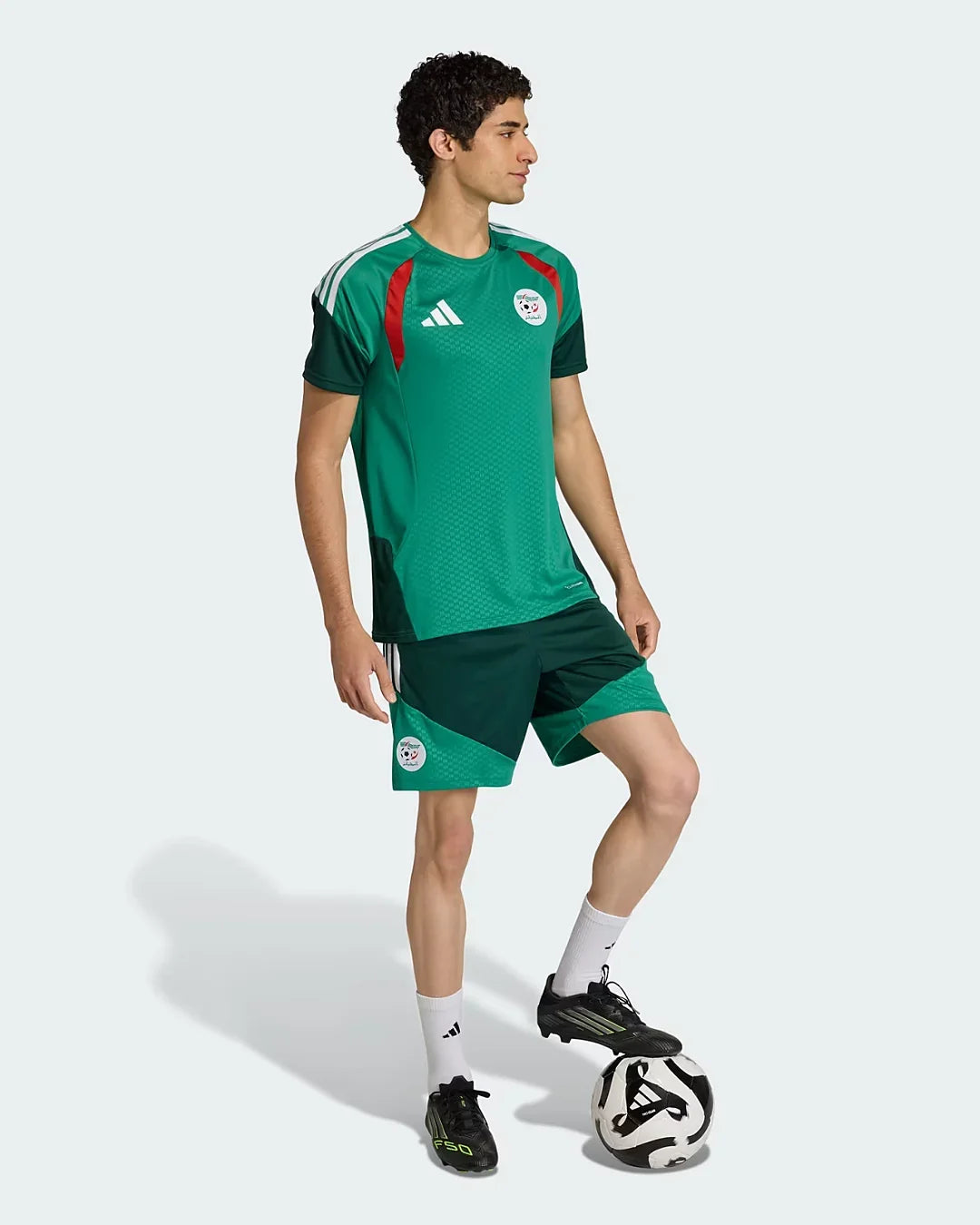 Short d'entraînement Algérie Coupe du monde 2026 - Vert
