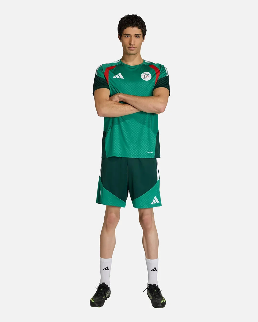 Short d'entraînement Algérie Coupe du monde 2026 - Vert