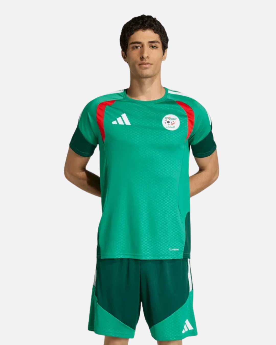 Maillot d’entraînement Algérie Coupe du Monde 2026 - Vert
