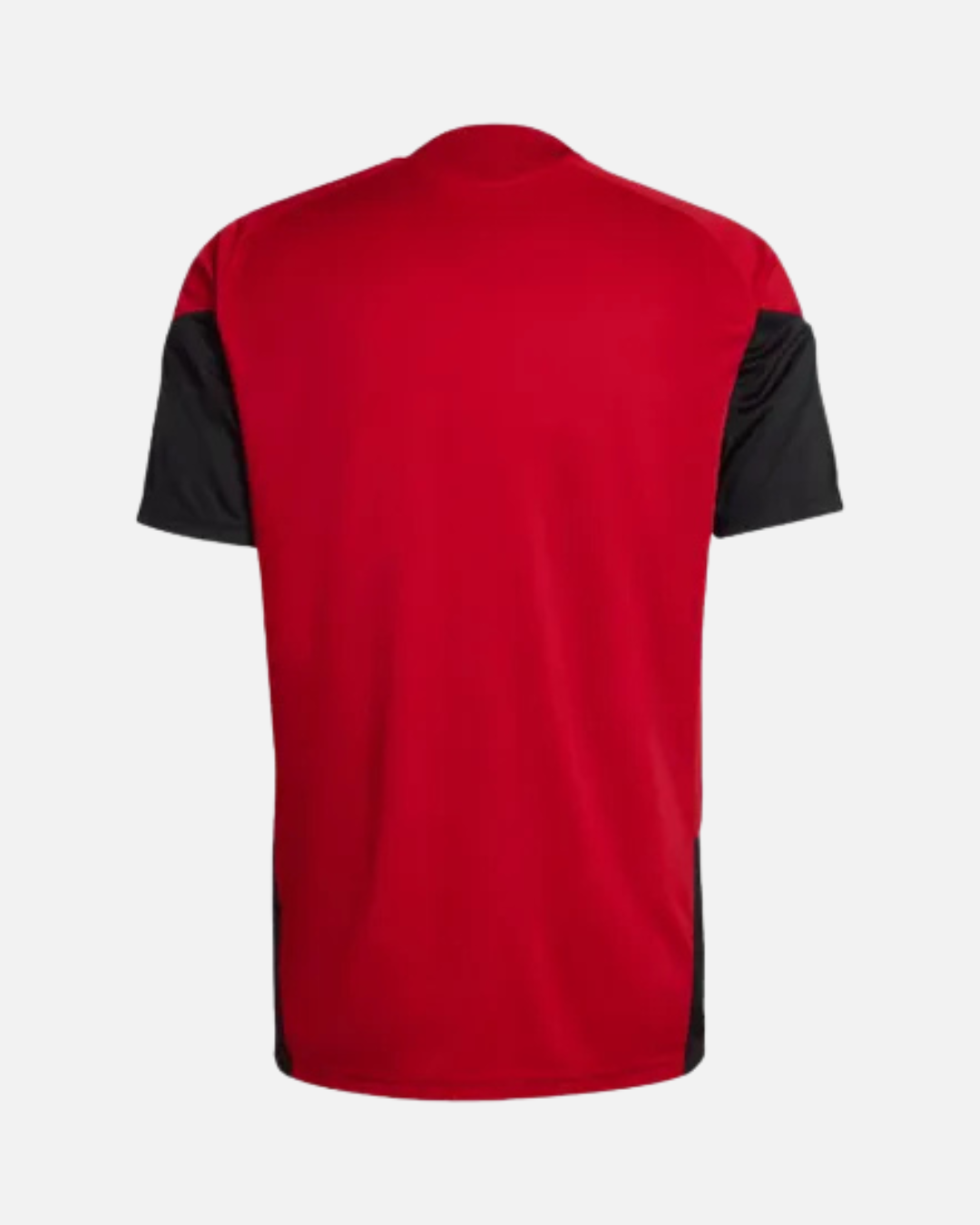 Maillot d'entraînement Allemagne Coupe du Monde 2026 - Rouge