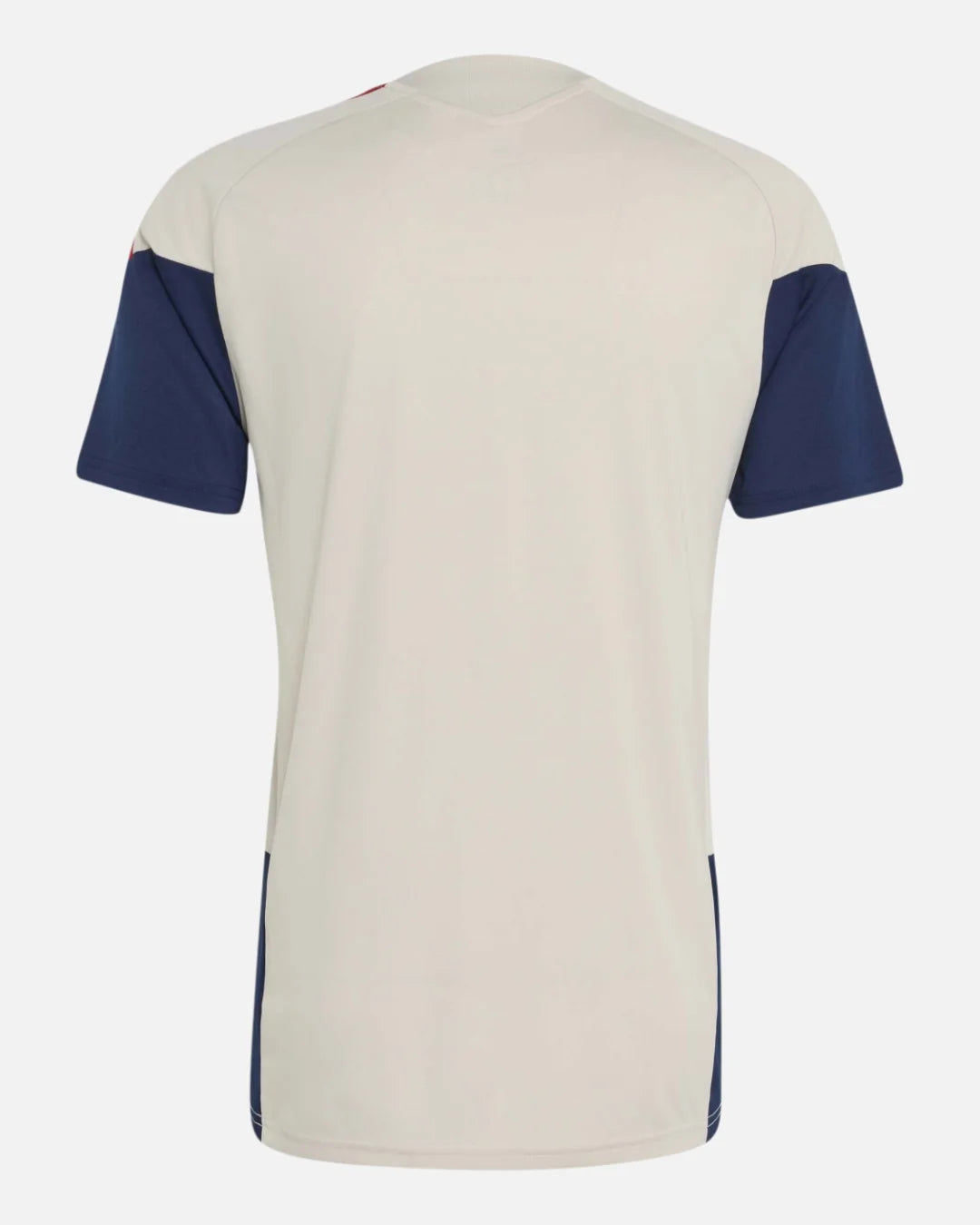 Maillot d'entraînement FC Bayern Munich 2026/2027 - Beige/Bleu/Rouge