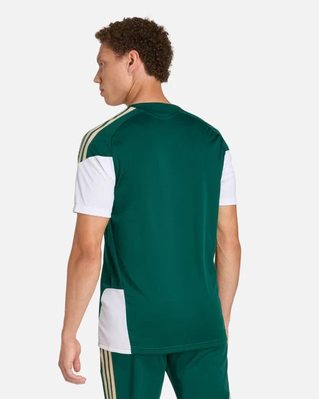 Maillot d'entraînement Italie Coupe du Monde 2026 - Vert