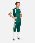 Maillot d'entraînement Italie Coupe du Monde 2026 - Vert