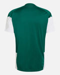 Maillot d'entraînement Italie Coupe du Monde 2026 - Vert