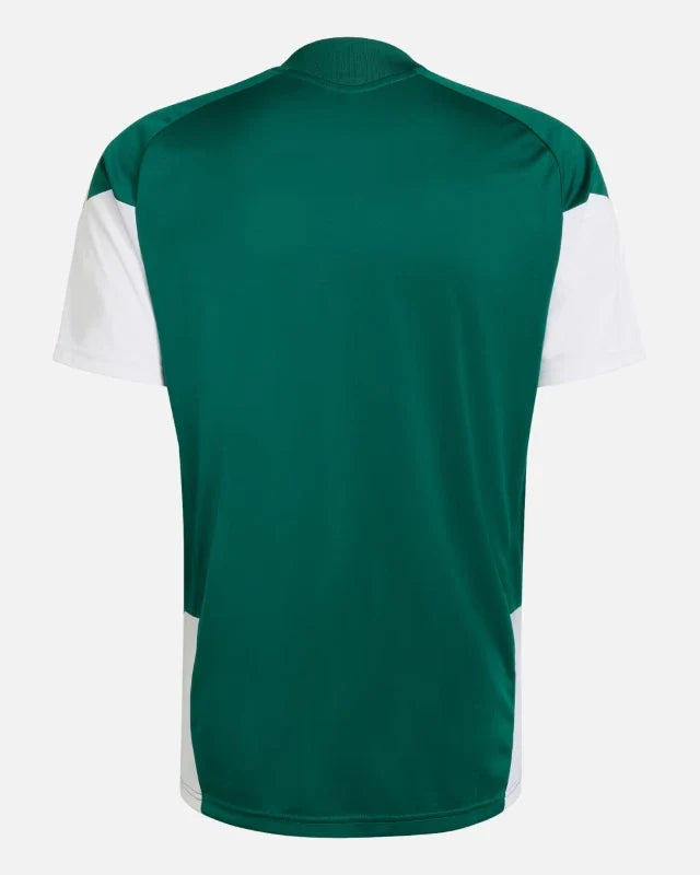 Maillot d'entraînement Italie Coupe du Monde 2026 - Vert