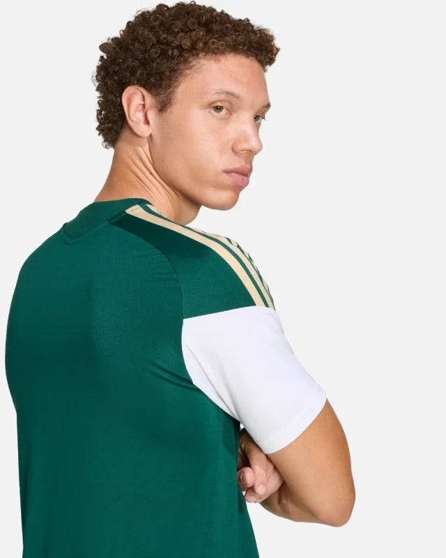 Maillot d'entraînement Italie Coupe du Monde 2026 - Vert