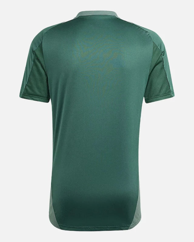 Maillot d'entraînement Algérie - Vert