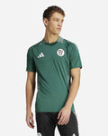 Maillot d'entraînement Algérie - Vert