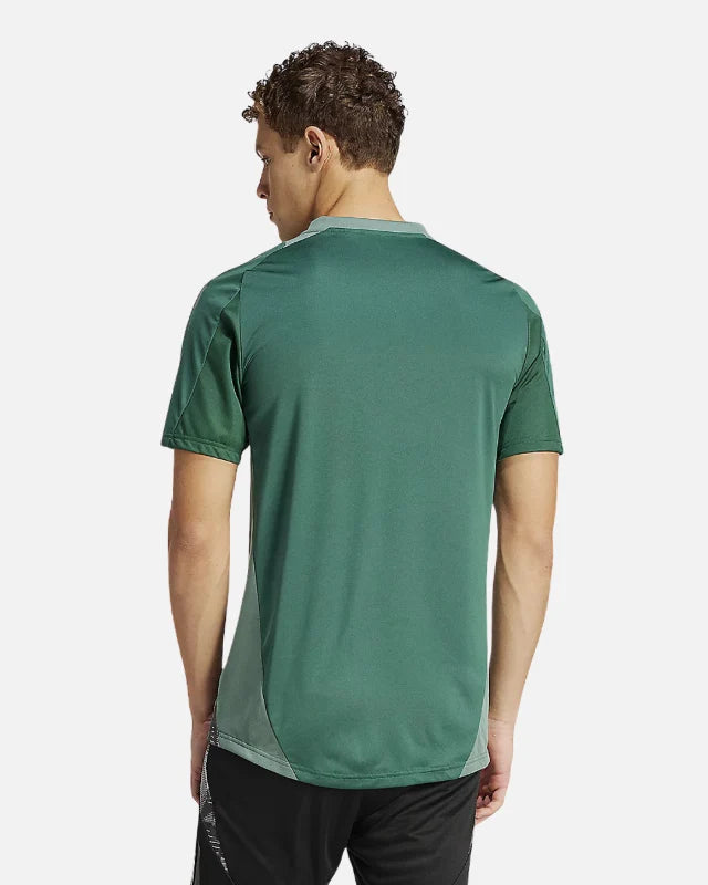 Maillot d'entraînement Algérie - Vert