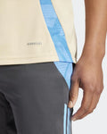 Maillot d'entrainement Argentine - Beige/Bleu