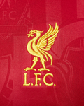 Maillot d'entrainement Liverpool - Rouge