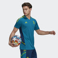 Maillot d'entrainement Juventus Condivo - Bleu/Vert