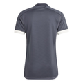 Maillot Juventus Third  - Gris
