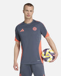 Maillot d'entraînement FC Bayern Munich 2025/2026 - Gris/Rouge