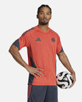 Maillot d'entraînement FC Bayern Munich 2025/2026 - Rouge/Gris