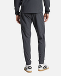 Pantalon de survêtement Bayern Munich - Gris
