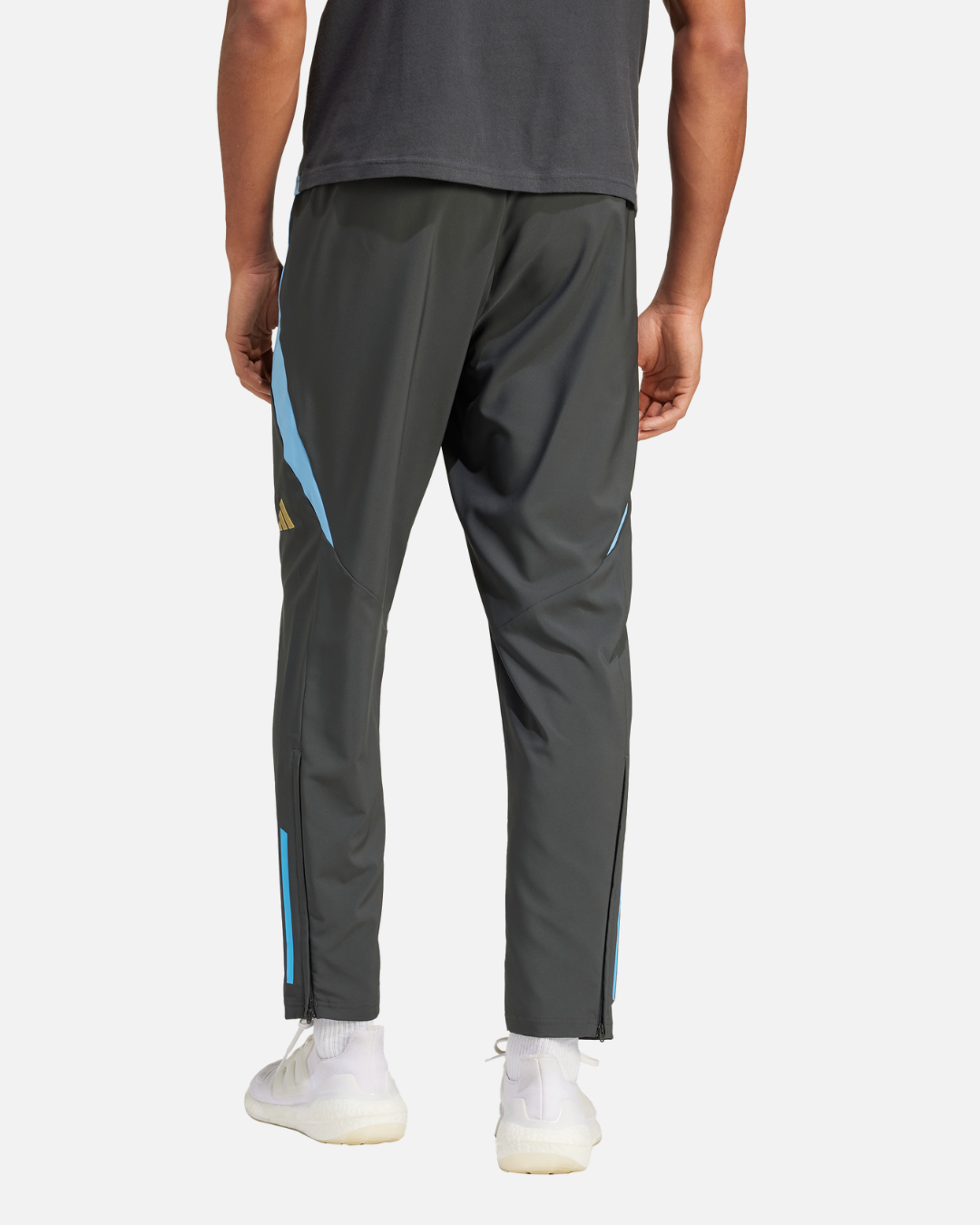 Pantalon de survêtement Argentine - Gris/Bleu