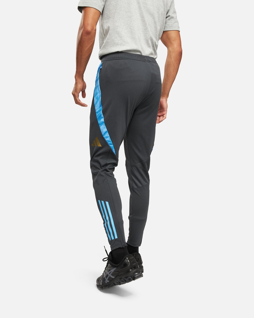 Pantalon d'entrainement Argentine - Gris/Bleu