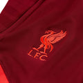 Pantalon d'entrainement Liverpool Strike - Rouge