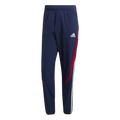 Pantalon survêtement Bayern Munich Teamgeist  - Bleu/Blanc/Rouge