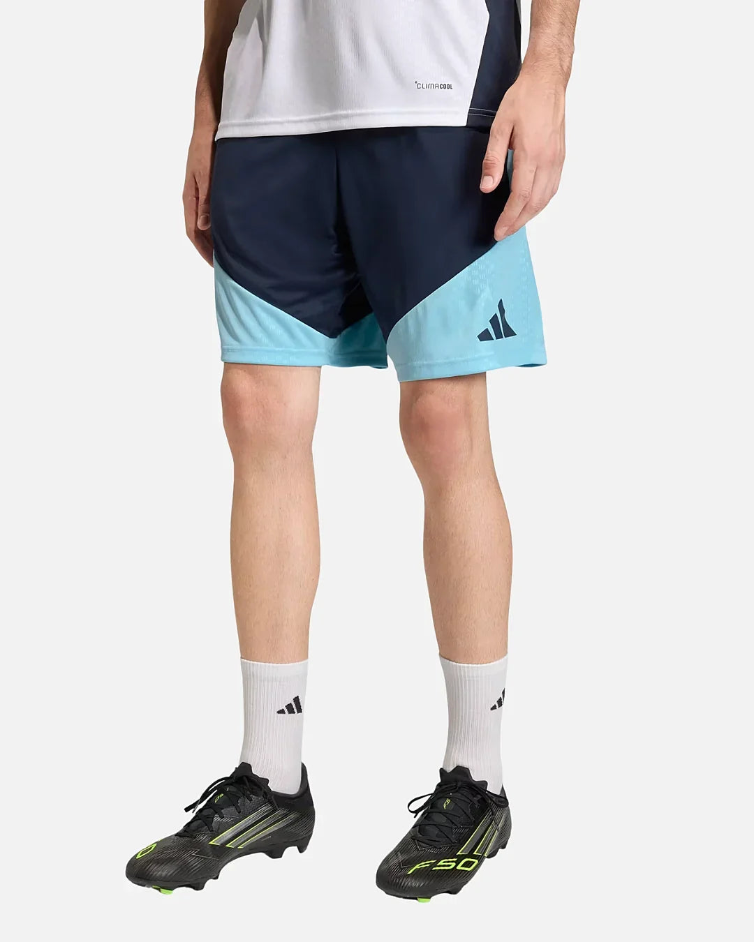 Short d'entraînement Argentine Coupe du monde 2026 - Bleu