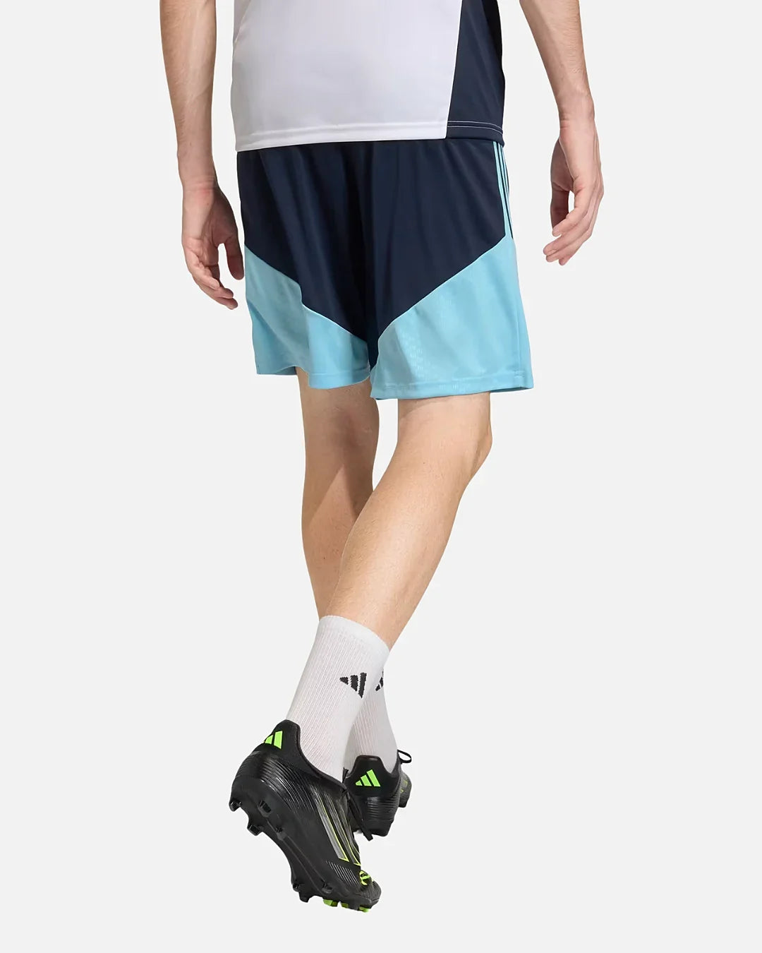 Short d'entraînement Argentine Coupe du monde 2026 - Bleu