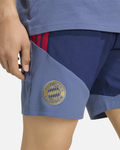 Short d'entrainement Bayern Munich 2026/2027 - Bleu