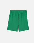 Short d'entrainement Maroc Coupe du Monde 2026 -  Vert