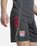 Short d'entraînement OL 2025/2026 - Gris