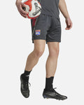 Short d'entraînement OL 2025/2026 - Gris