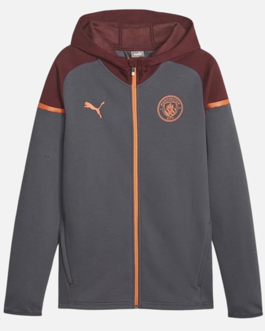 Sweat PUMA Manchester City - Gris
