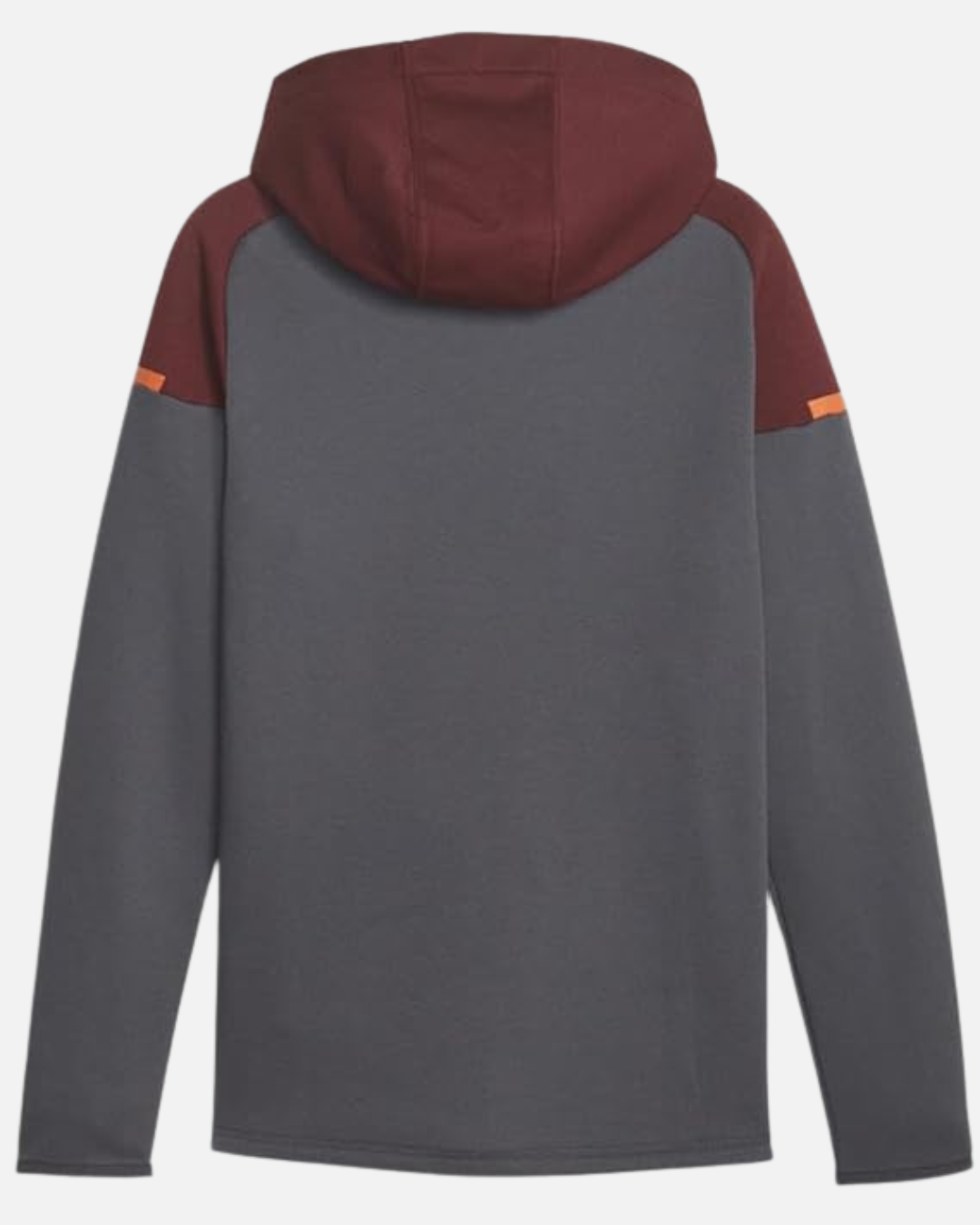 Sweat PUMA Manchester City - Gris